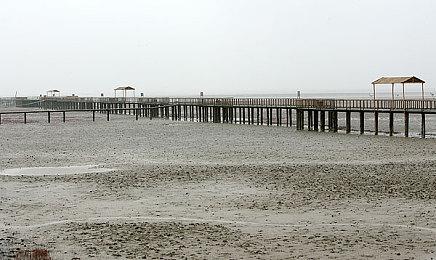 Wii模拟器Dolphin团队取消Steam版发布计划